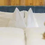 Chalet Ahorn *