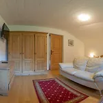 Ahorn Chalet Mayrhofen